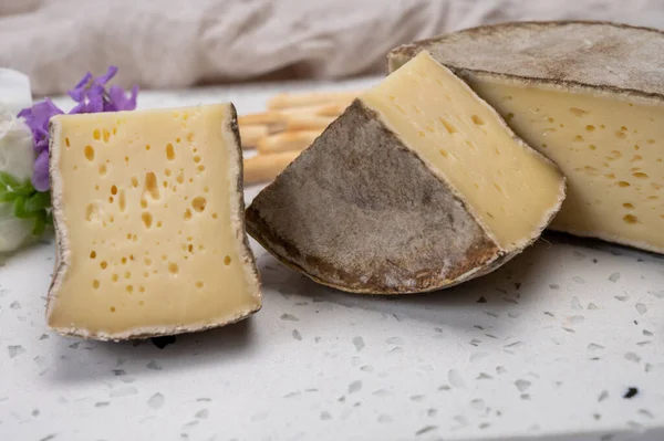 奶酪系列 成熟的奶牛奶酪 法国产的带霉菌乳酪 高山产的奶酪 — 图库照片