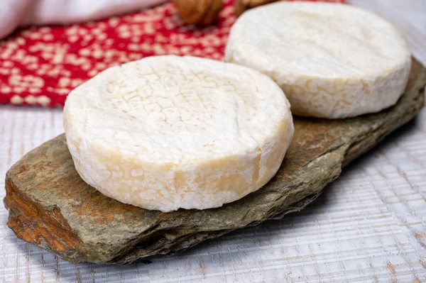 Coleção Queijo Queijo Vaca Macia Branco Fresco Com Molde Suíça — Fotografia de Stock