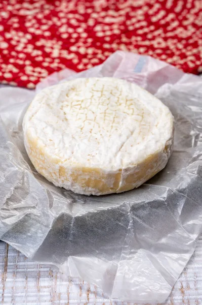 Collection Fromage Fromage Blanc Frais Vache Pâte Molle Avec Moisissure — Photo