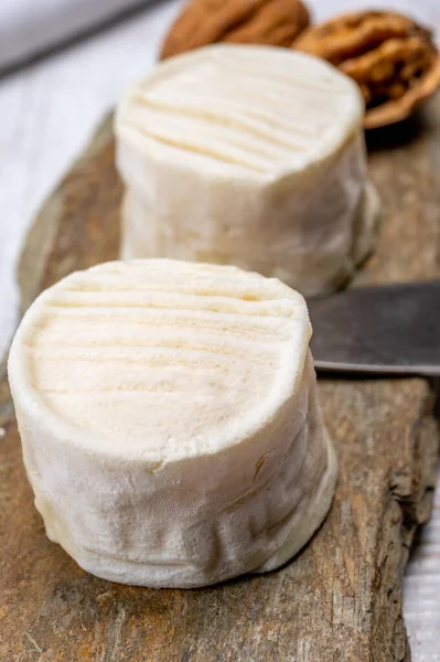 Peynir Koleksiyonu Yumuşak Keçi Peyniri Küflü Fransız Peyniri Loire Valley — Stok fotoğraf
