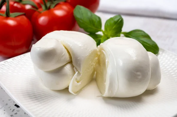 南イタリアの柔らかい白いモッツァレラチーズは 水牛の牛のミルクで作られ 熟したトマトと新鮮な緑のバジルのハーブを閉じます — ストック写真