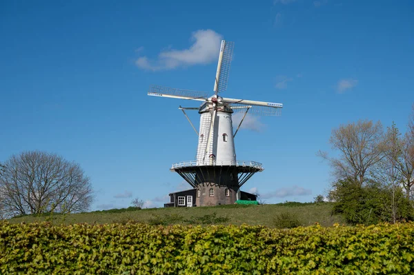 Traditionell Holländsk Väderkvarn Som Används För Kornmalning Solig Dag — Stockfoto