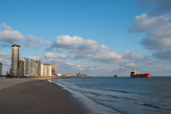 Waterfront, dunes and view on Vlissingen city with sandy beach on sunny sunset, Zeeland, Netherlands