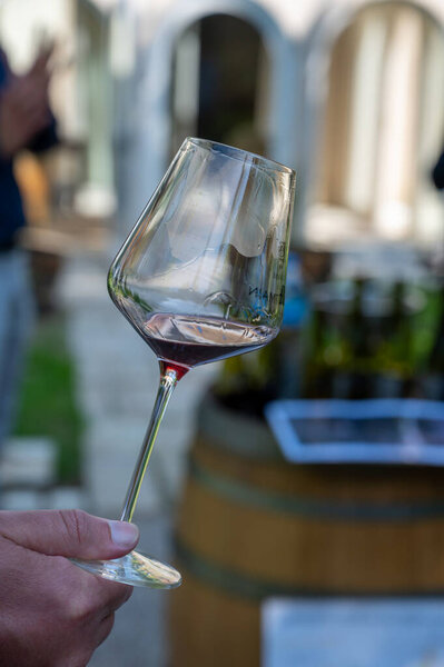 Дегустация сухого дорогого бордового красного вина из винограда Пино-нуар, винный туризм в Бургундский Кот-де-Нуит, Франция