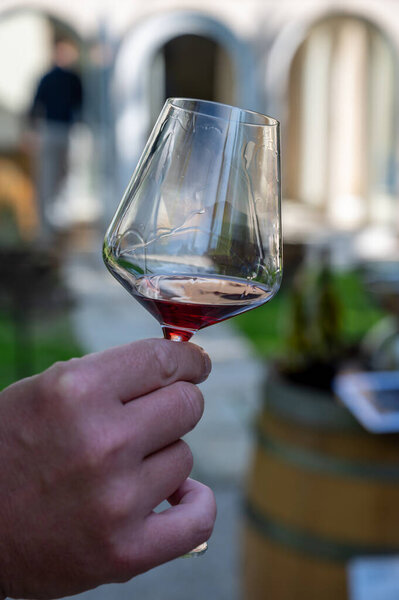 Дегустация сухого дорогого бордового красного вина из винограда Пино-нуар, винный туризм в Бургундский Кот-де-Нуит, Франция