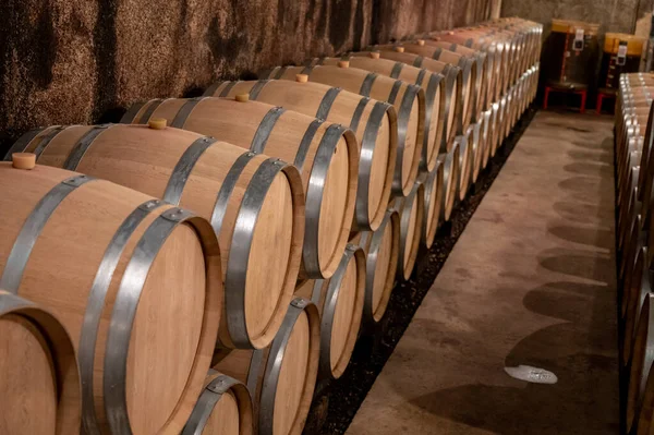 Manteniendo Durante Años Vino Tinto Seco Barricas Roble Nuevo Cuevas — Foto de Stock