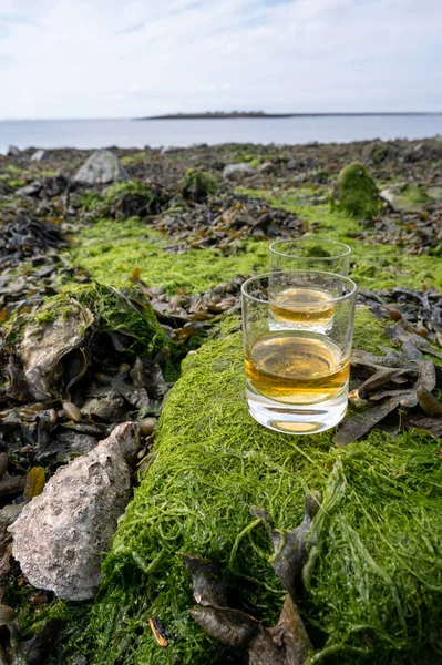 Degustacja Jednosłodowej Lub Mieszanej Szkockiej Whisky Dna Morskiego Czasie Odpływu — Zdjęcie stockowe
