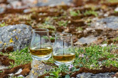 Arka planda tek malt ya da harmanlanmış viski, taş ve çiçek tatma, İskoçya, İngiltere 'de özel damıtma viski turları