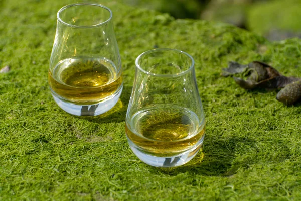 Degustación Whisky Escocés Malta Simple Mezclado Fondo Marino Marea Baja — Foto de Stock
