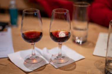 Porto, Portekiz 'deki şarap mahzenlerinde şarap kadehlerinde bulunan farklı güçlendirilmiş tatlı yakutunun profesyonel tatma, tawny port şarapları.