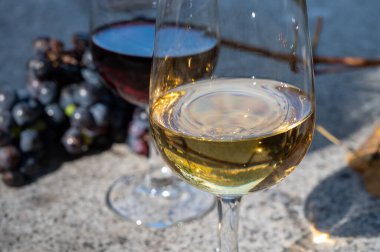 Güneşli sonbaharda, Douro Vadisi, Portekiz 'de, çeşitli güçlendirilmiş şarap kadehlerinin tadına bakmak.