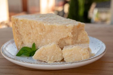 Peynir koleksiyonu, bir parça olgun peynir parmesan peyniri reggiano ve inek sütünden yapılmış İtalyan evleri.