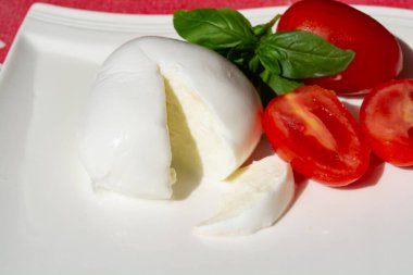 Peynir koleksiyonu, taze İtalyan yumuşak peyniri mozzarella di bufala campana taze fesleğen ve domatesle servis edilir.