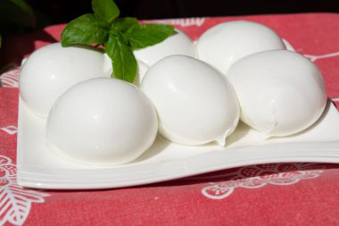 Peynir koleksiyonu, taze İtalyan yumuşak peynirli mozzarella di bufala campana taze fesleğenle servis edilir.