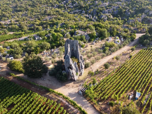 Vista Aérea Fileiras Plantas Uva Vinhas Verdes Nas Montanhas Campo — Fotografia de Stock