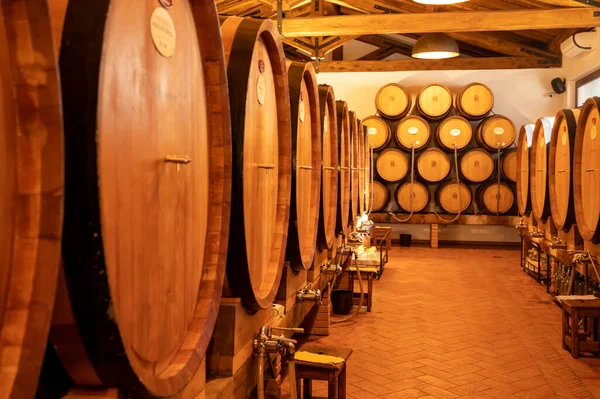 バラと赤ドライとイタリアのワインセラーで販売のための大小の樽で甘いワイン — ストック写真
