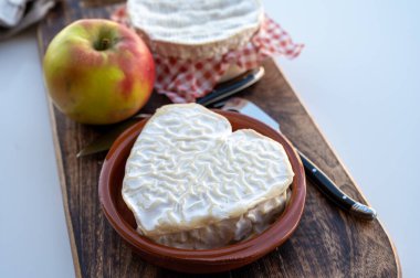 Peynir koleksiyonu, Normandiya 'dan Fransız peyniri, kalp şeklinde neufchatel.