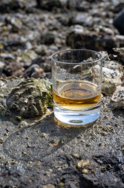 Malt ya da karışık viski tatmak ve deniz yatağında algler, taşlar ve istiridyelerle arka planda, İskoçya, İngiltere 'de özel viski damıtma turları yapmak.