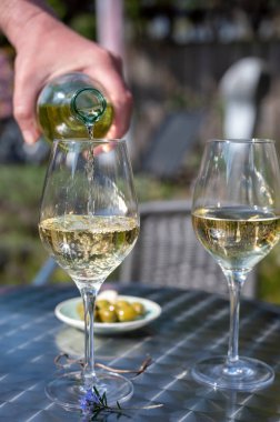 Güneşli bir günde bahar bahçesinde açık terasta beyaz şarap içmek.