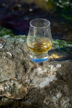 İskoç viskisi ve mavi denizin arkaplanda taş ve istiridye, İskoçya 'da özel viski turları.