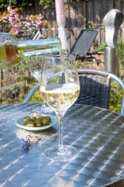 Güneşli bir günde bahar bahçesinde açık terasta beyaz şarap içmek.