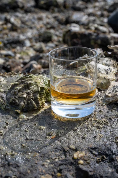Γεύση Single Malt Blended Scotch Whisky Και Βυθού Χαμηλή Παλίρροια — Φωτογραφία Αρχείου