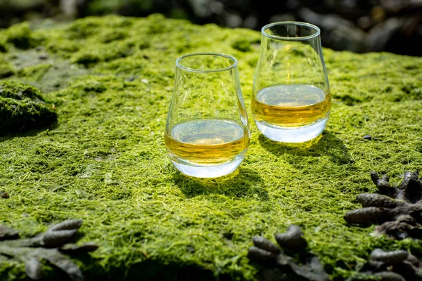 シングルモルトまたはブレンドされたスコットランドのウイスキーと海底の低潮と緑の藻類と石のバックグラウンドで スコットランドのプライベートウイスキー蒸留所ツアー — ストック写真