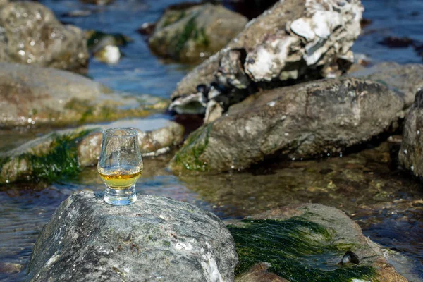 Tasting Single Malt Blended Scotch Whisky Blue Sea Stones Oysters — Stock Photo, Image