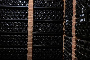 Portekiz 'in kuzeyinde, Vila Nova de Gaia, Portekiz' in eski mahzenlerinde kaliteli yakut ya da tawny porto şarabı şişeleri