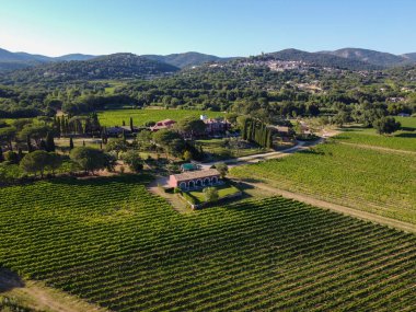 Güney Fransa 'nın Provence-Alpes-Cote d' Azur bölgesinde şarap üretimi var, Temmuz ayında Saint-Tropez kasabası yakınlarında üzüm bağları, Cotes de Provence şarabı, hava manzarası
