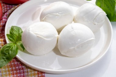 Peynir koleksiyonu, taze İtalyan yumuşak peyniri mozzarella di bufal campana taze fesleğen ve domatesle servis edilir.