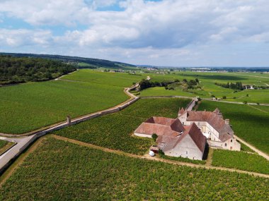 Yeşil Grand Cru ve Fransa 'nın Burgundy bölgesinde kırmızı ve beyaz Burgundy şarabı üreten Cote de nuits' deki Pinot noir üzüm bitkilerinin olduğu başlıca cru üzüm bağlarının Aerian görüntüsü.