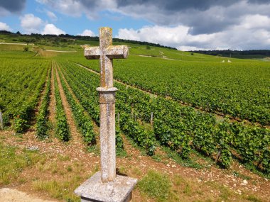 Fransa 'nın doğusundaki Burgundy bölgesinde kırmızı ve beyaz Burgundy şarabı üreten, Cote de nuits' teki Pinot noir üzüm bitkilerinin bulunduğu duvarlı yeşil büyük cru ve başlıca cru üzüm bağlarına Aerian manzarası.