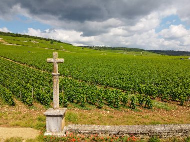 Fransa 'nın doğusundaki Burgundy bölgesinde kırmızı ve beyaz Burgundy şarabı üreten, Cote de nuits' teki Pinot noir üzüm bitkilerinin bulunduğu duvarlı yeşil büyük cru ve başlıca cru üzüm bağlarına Aerian manzarası.