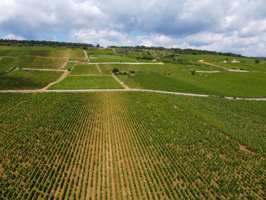 Yeşil Grand Cru ve Fransa 'nın Burgundy bölgesinde kırmızı ve beyaz Burgundy şarabı üreten Cote de nuits' deki Pinot noir üzüm bitkilerinin olduğu başlıca cru üzüm bağlarının Aerian görüntüsü.