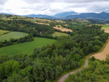 Yeşil Grand Cru ve Fransa 'nın Burgundy bölgesinde kırmızı ve beyaz Burgundy şarabı üreten Cote de nuits' deki Pinot noir üzüm bitkilerinin olduğu başlıca cru üzüm bağlarının Aerian görüntüsü.