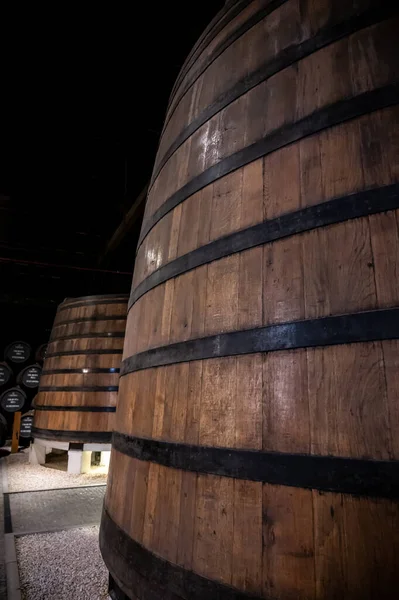 Vecchia Loggia Portuale Con File Botti Legno Quercia Lento Invecchiamento — Foto Stock