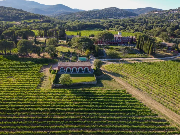 Wine making in  department Var in  Provence-Alpes-Cote d'Azur region of Southeastern France, vineyards in July with young green grapes near town Saint-Tropez, cotes de Provence wine, aerial view