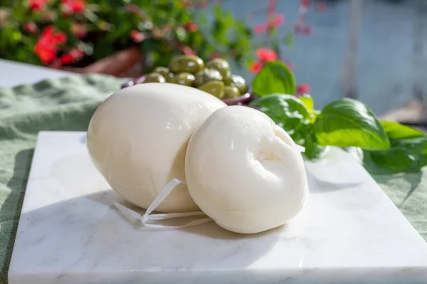 Peynir Koleksiyonu Beyaz Tütsülenmiş Talyan Peyniri Scamorza Güney Talya Inek — Stok fotoğraf