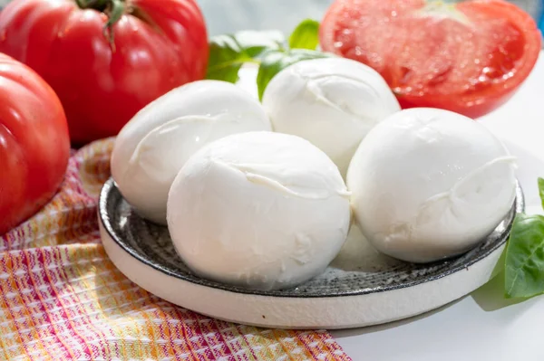 Sajtkollekció Friss Olasz Lágy Sajt Golyók Mozzarella Bufal Campana Friss — Stock Fotó