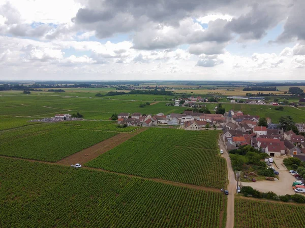 Blick Aus Der Luft Auf Grüne Grand Cru Und Premier — Stockfoto