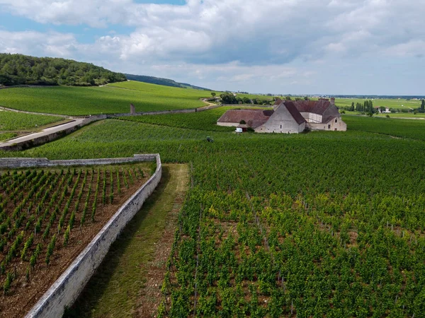 Aerian Uitzicht Ommuurde Groene Grand Cru Premier Cru Wijngaarden Met — Stockfoto
