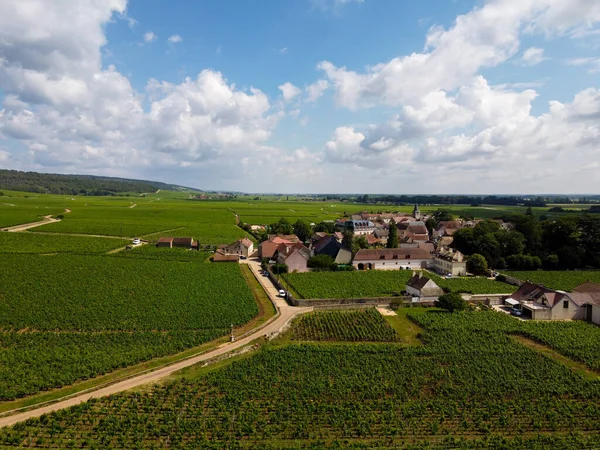 Blick Aus Der Luft Auf Grüne Grand Cru Und Premier — Stockfoto