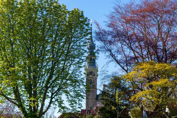 Stadsgezicht Oude Middeleeuwse Huizen Het Historische Stadje Veere Nederland Walcheren — Stockfoto