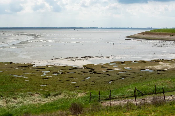 Panoramic View Sea Coast Province Zeeland Low Tide Nature Netherlands — Stock Photo, Image