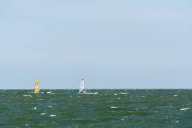 Hollanda 'da Kuzey Denizi' nin soğuk sularında aşırı su sporu