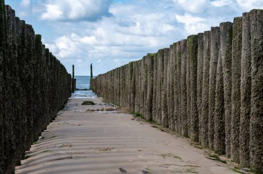 Hollanda, Zoutelande yakınlarındaki beyaz kumlu kuzey sahillerindeki tahta kutuplara bakın.