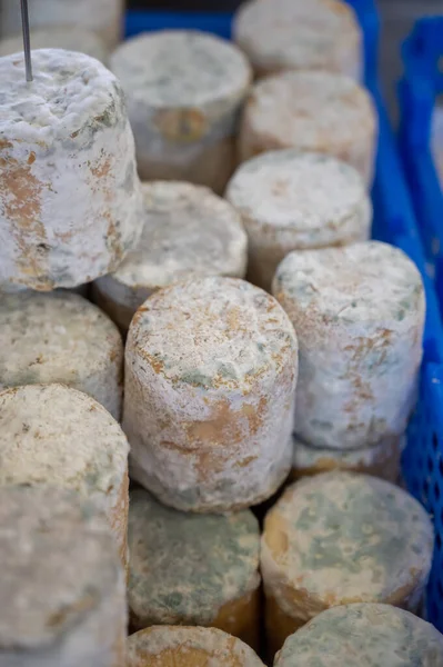 Small Pieces Matured Goat Cheese French Farmers Market Close — Fotografia de Stock