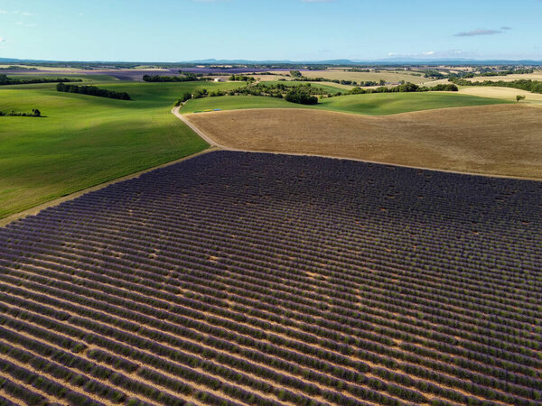 Туристическое направление на юге Франции, вид с воздуха на красочные ароматические лаванды и лаванды поля в цвету в июле на плато Valensole, Прованс.