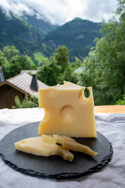 Peynir Koleksiyonu Fransız Inek Peyniri Emmental Yazın Haute Savoie Deki — Stok fotoğraf
